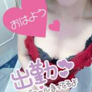 ヒメ日記 2026/03/04 07:40 投稿 あん トマトなび