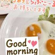 ヒメ日記 2026/03/09 06:45 投稿 あん トマトなび