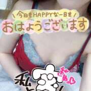 ヒメ日記 2026/03/13 07:45 投稿 あん トマトなび