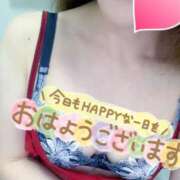 ヒメ日記 2026/03/17 07:40 投稿 あん トマトなび