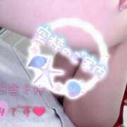 ヒメ日記 2026/03/17 09:02 投稿 あん トマトなび