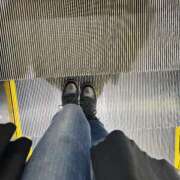 ヒメ日記 2026/03/31 06:32 投稿 あん トマトなび