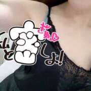 ヒメ日記 2026/04/01 07:53 投稿 あん トマトなび