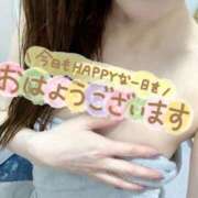 ヒメ日記 2026/04/04 06:59 投稿 あん トマトなび