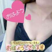 ヒメ日記 2026/04/07 07:59 投稿 あん トマトなび