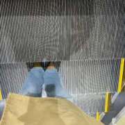 ヒメ日記 2026/04/08 06:32 投稿 あん トマトなび