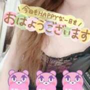 ヒメ日記 2026/04/18 07:49 投稿 あん トマトなび