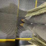 ヒメ日記 2026/04/20 06:30 投稿 あん トマトなび