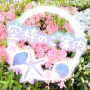 ヒメ日記 2026/04/21 12:26 投稿 あん トマトなび