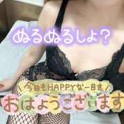 ヒメ日記 2026/05/01 07:55 投稿 あん トマトなび