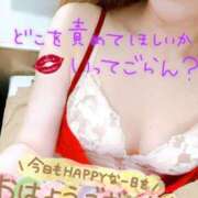 ヒメ日記 2026/05/23 08:43 投稿 あん トマトなび