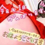 ヒメ日記 2026/05/25 07:54 投稿 あん トマトなび