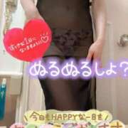 ヒメ日記 2026/06/08 08:03 投稿 あん トマトなび