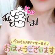 ヒメ日記 2026/07/20 07:41 投稿 あん トマトなび