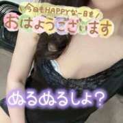 ヒメ日記 2026/07/24 07:59 投稿 あん トマトなび