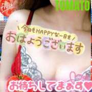 ヒメ日記 2026/08/15 08:32 投稿 あん トマトなび