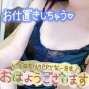 ヒメ日記 2026/09/29 07:57 投稿 あん トマトなび
