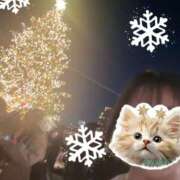 ヒメ日記 2024/12/16 23:38 投稿 さやか トマトなび