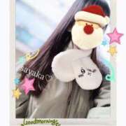 ヒメ日記 2024/12/20 07:03 投稿 さやか トマトなび