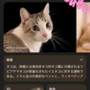 ヒメ日記 2025/01/09 23:41 投稿 さやか トマトなび