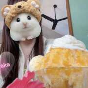 ヒメ日記 2025/02/06 21:04 投稿 さやか トマトなび