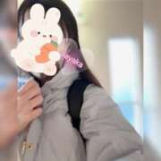 ヒメ日記 2025/02/07 07:09 投稿 さやか トマトなび