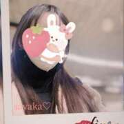 ヒメ日記 2025/02/20 07:11 投稿 さやか トマトなび