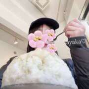 ヒメ日記 2025/02/27 00:27 投稿 さやか トマトなび