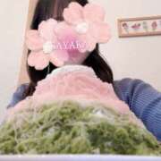 ヒメ日記 2025/03/14 22:03 投稿 さやか トマトなび