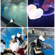 ヒメ日記 2025/03/19 23:01 投稿 さやか トマトなび