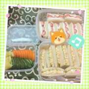 ヒメ日記 2025/03/29 12:30 投稿 さやか トマトなび