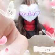 ヒメ日記 2025/04/07 19:47 投稿 さやか トマトなび