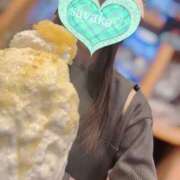 ヒメ日記 2025/04/25 20:37 投稿 さやか トマトなび