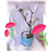 ヒメ日記 2025/05/10 22:33 投稿 さやか トマトなび