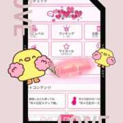 ヒメ日記 2025/07/12 20:40 投稿 さやか トマトなび