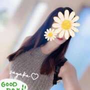 ヒメ日記 2025/07/24 07:08 投稿 さやか トマトなび