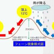 ヒメ日記 2025/07/31 07:09 投稿 さやか トマトなび