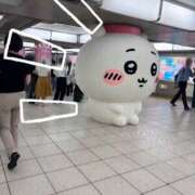 ヒメ日記 2025/08/08 20:08 投稿 さやか トマトなび