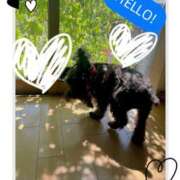 ヒメ日記 2025/08/28 07:17 投稿 さやか トマトなび