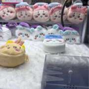 ヒメ日記 2025/11/12 00:00 投稿 さやか トマトなび