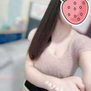 ヒメ日記 2025/11/15 00:15 投稿 さやか トマトなび