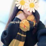 ヒメ日記 2025/11/23 07:09 投稿 さやか トマトなび