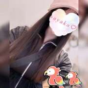 ヒメ日記 2025/11/23 23:25 投稿 さやか トマトなび