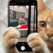 ヒメ日記 2025/12/08 23:21 投稿 さやか トマトなび