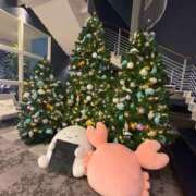 ヒメ日記 2025/12/11 00:13 投稿 さやか トマトなび