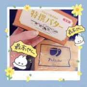 ヒメ日記 2026/03/20 23:37 投稿 さやか トマトなび