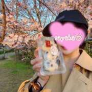 ヒメ日記 2026/03/23 23:32 投稿 さやか トマトなび