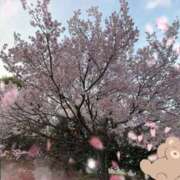 ヒメ日記 2026/03/29 23:39 投稿 さやか トマトなび