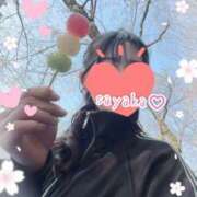 ヒメ日記 2026/03/30 00:08 投稿 さやか トマトなび