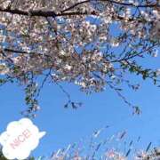 ヒメ日記 2026/04/06 23:23 投稿 さやか トマトなび